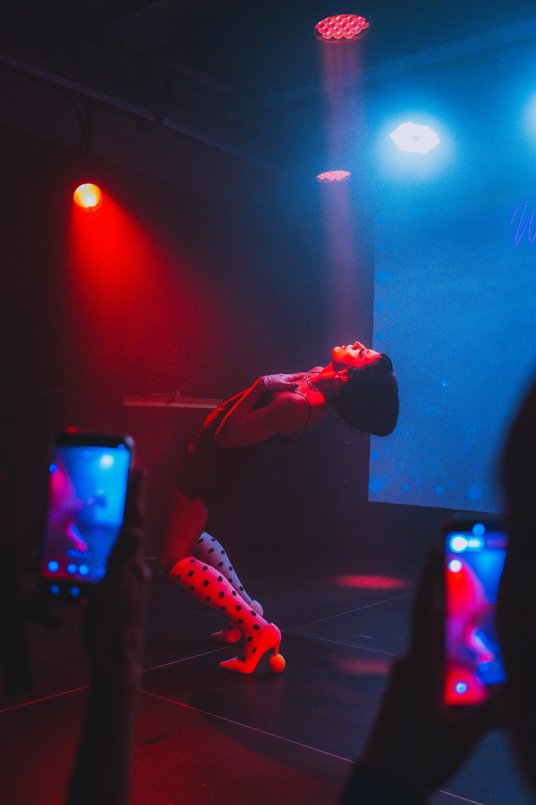 Aquaria — frame 19