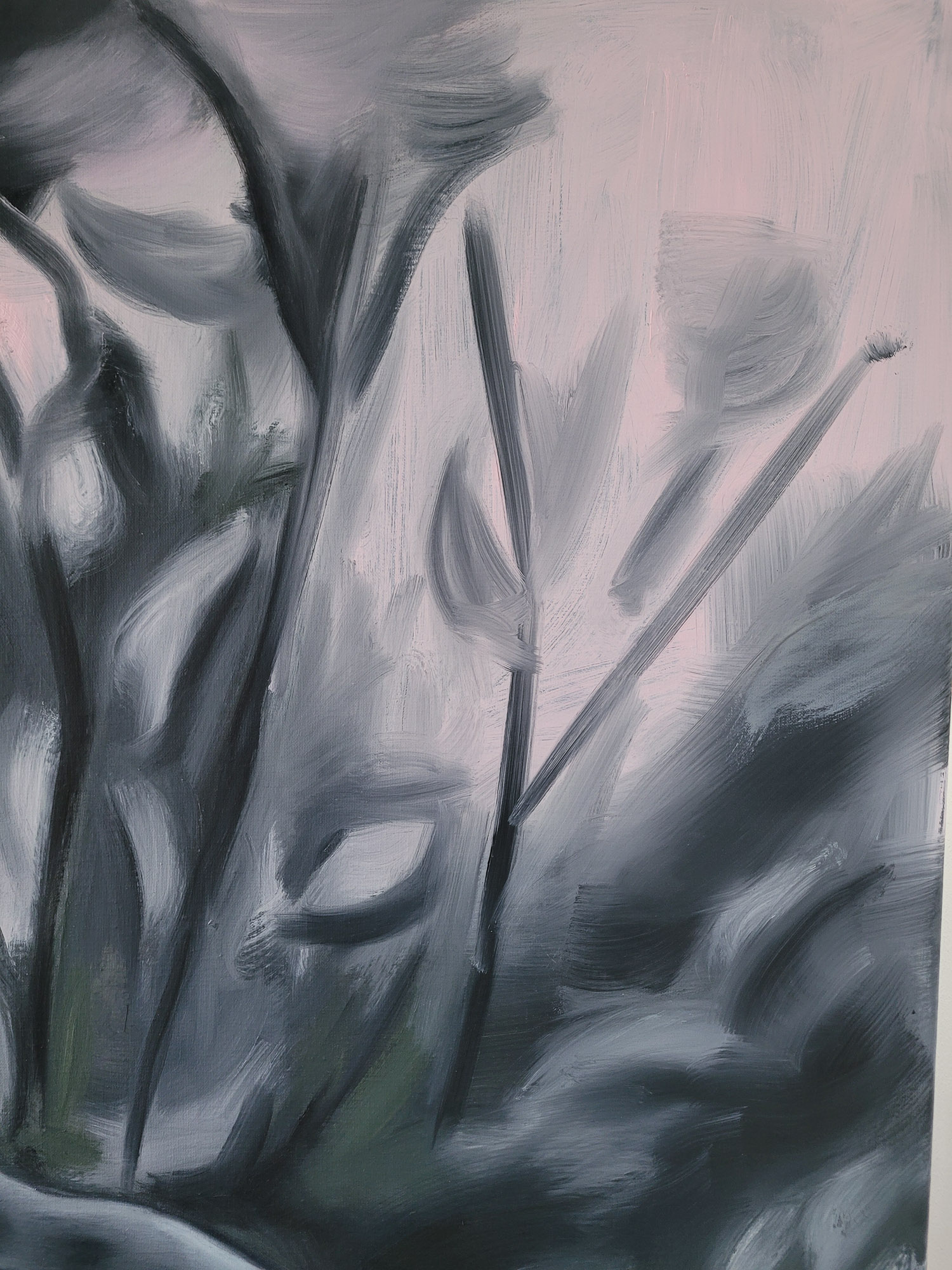 Aldis #2, detail view 2